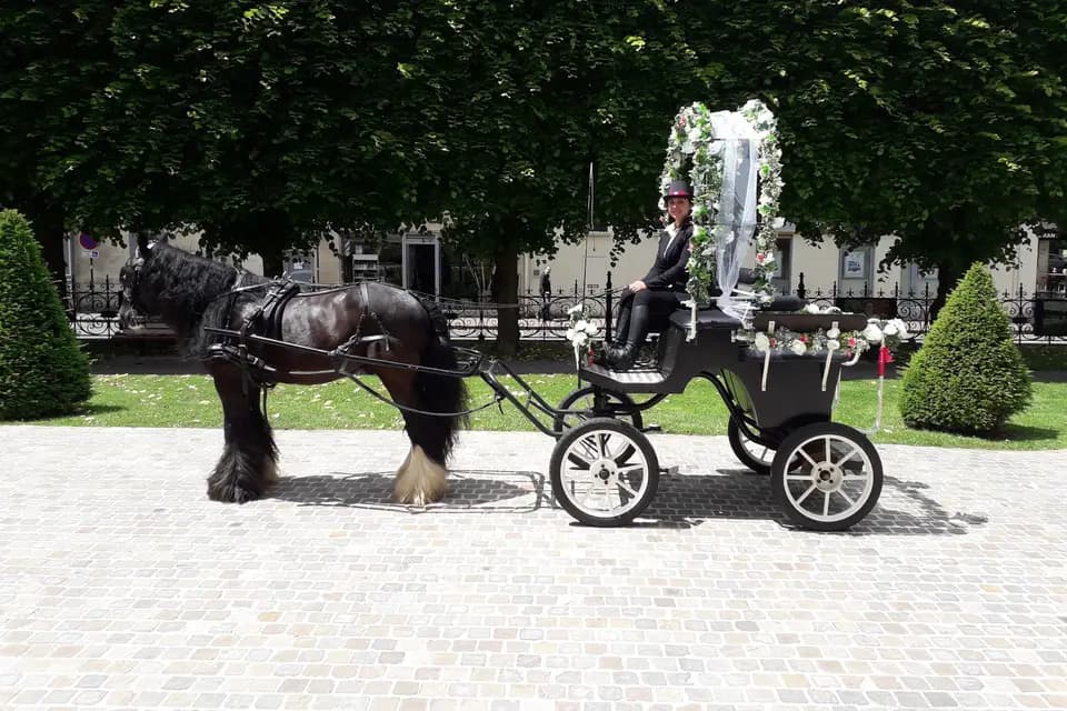 Et Sens Selle - Calèche