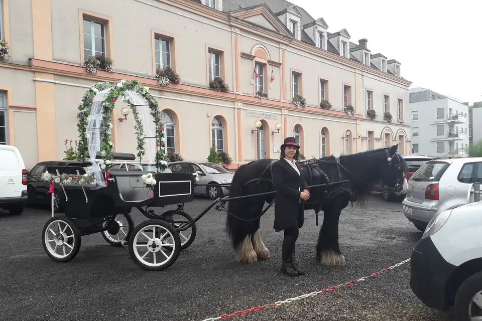 Et Sens Selle - Calèche — photo 1