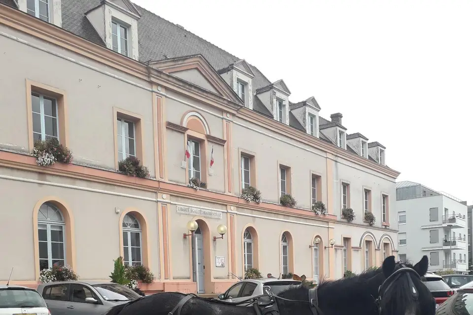 Et Sens Selle - Calèche — photo 5