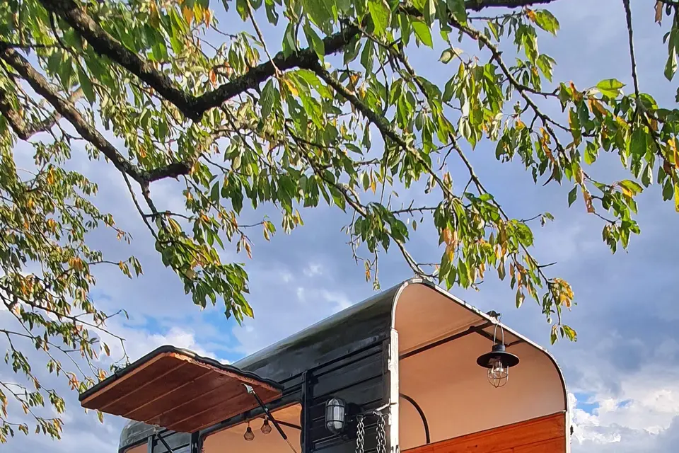 Evanments — photo 2