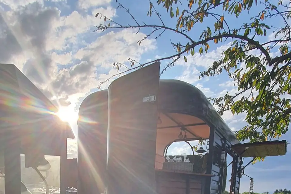 Evanments — photo 3