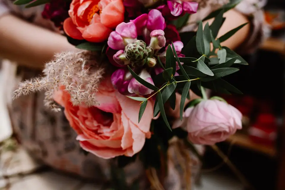 Aux Cyclamens — photo 2