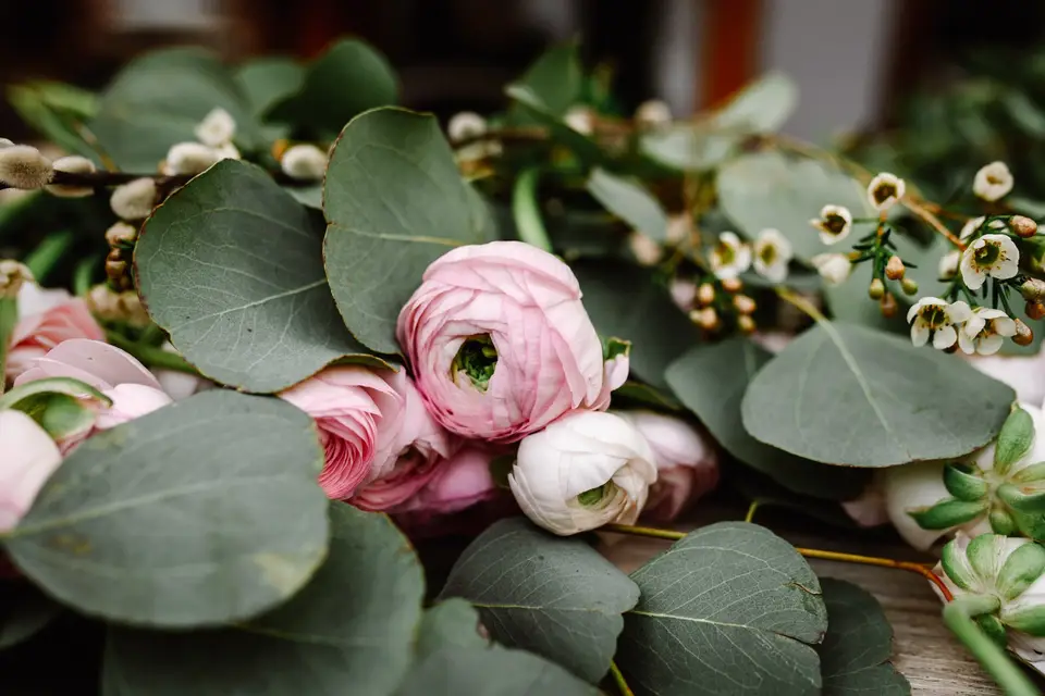 Aux Cyclamens — photo 1