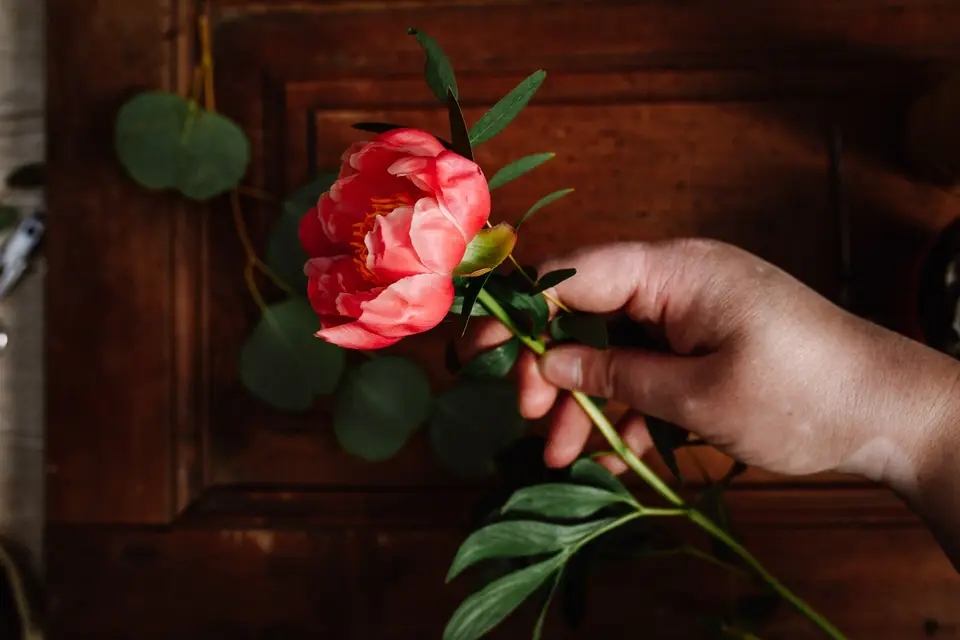 Aux Cyclamens — photo 5