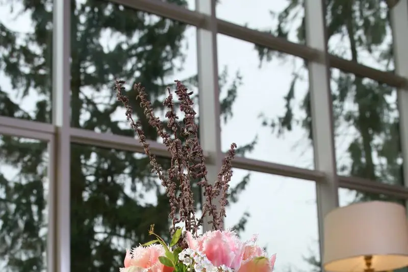 Jean-Luc Bodechon — photo 1