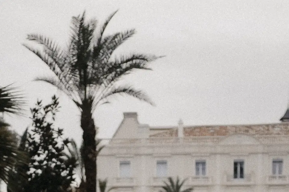 Pauline H. — photo 7