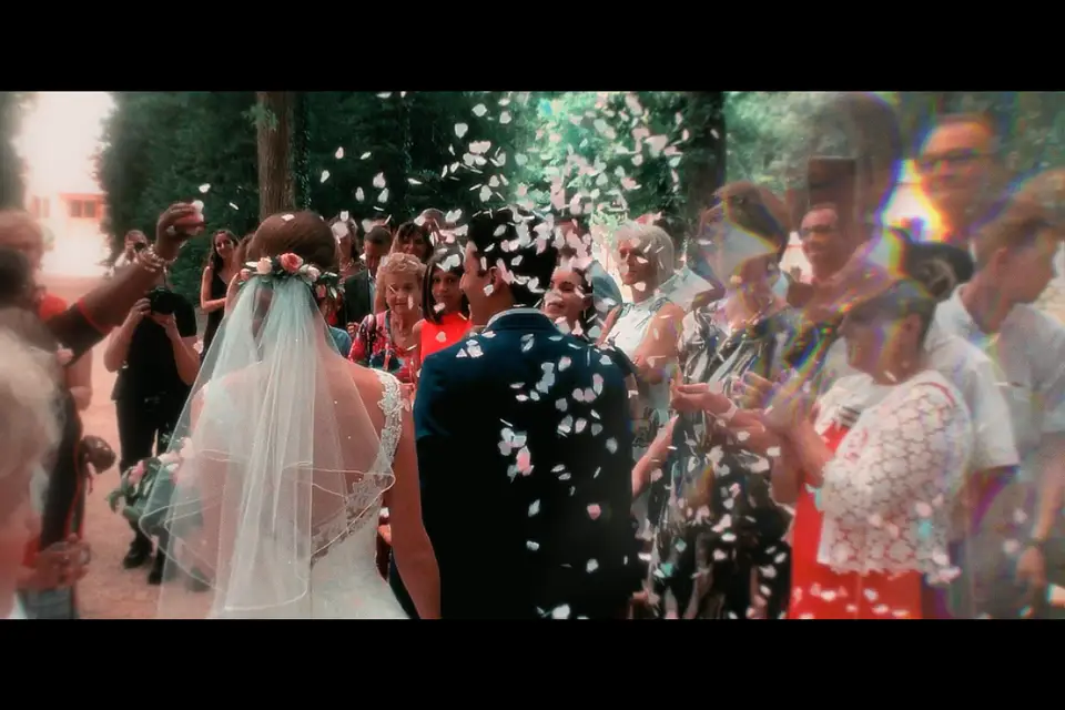 The Videodrome — photo 1