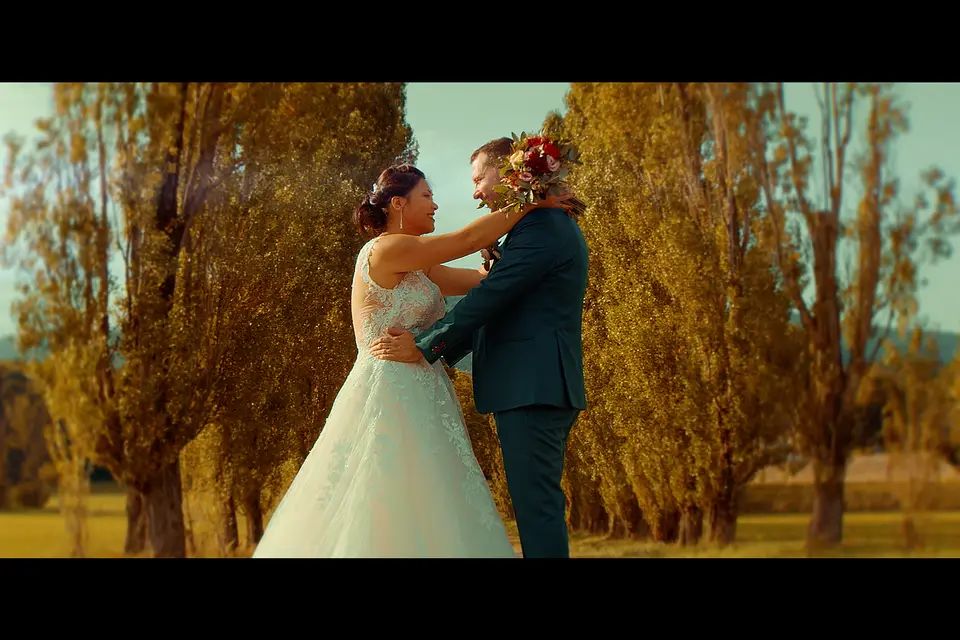 The Videodrome — photo 7