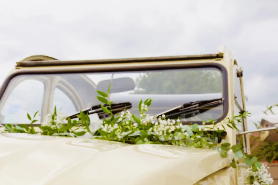 Alex Prestige Event — photo 6