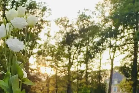 Alex Prestige Event — photo 5