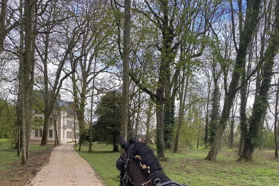 La Tribu de Dahna — photo 6