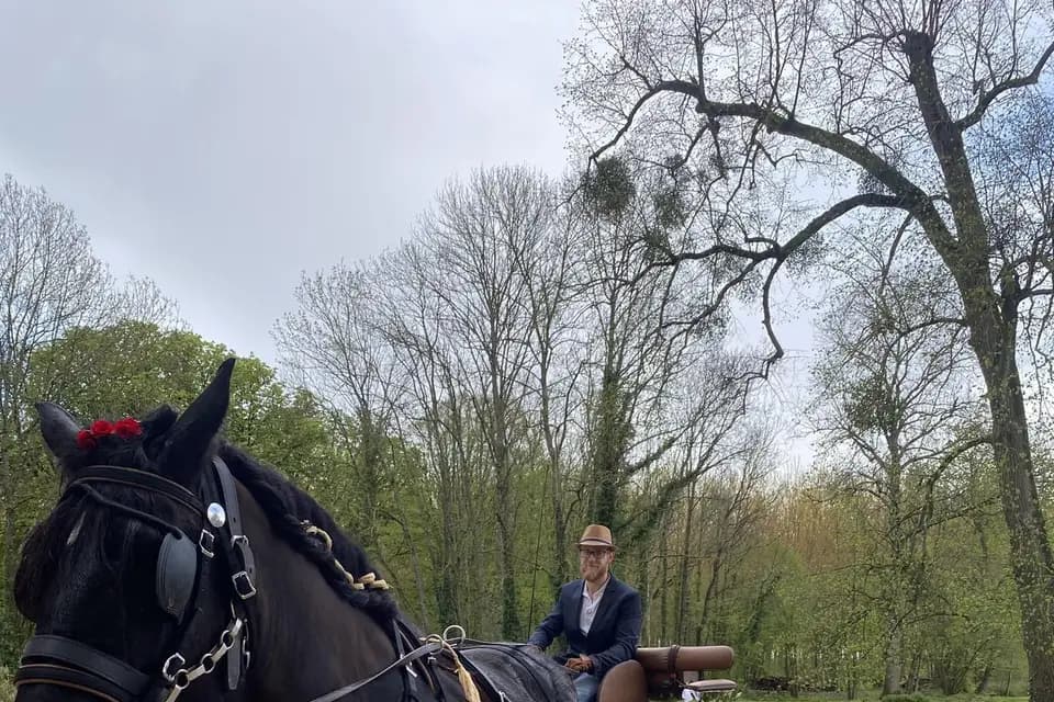 La Tribu de Dahna — photo 8