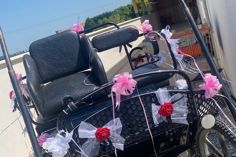 La Tribu de Dahna — photo 2