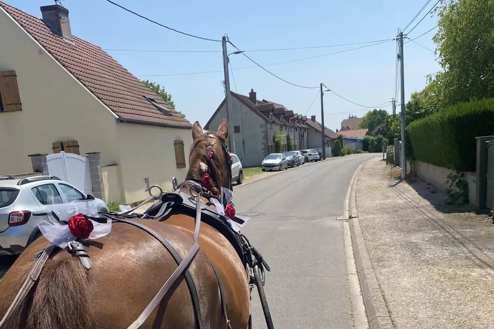 La Tribu de Dahna — photo 5