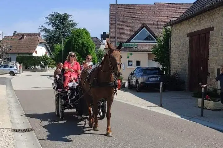 La Tribu de Dahna — photo 4