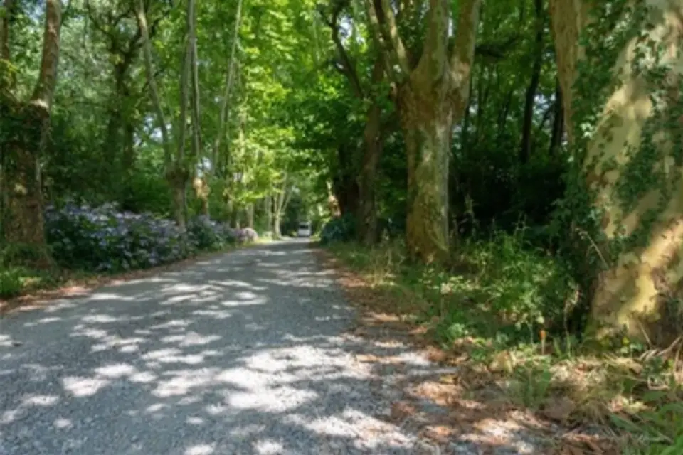 Métairie de Galeben — photo 1