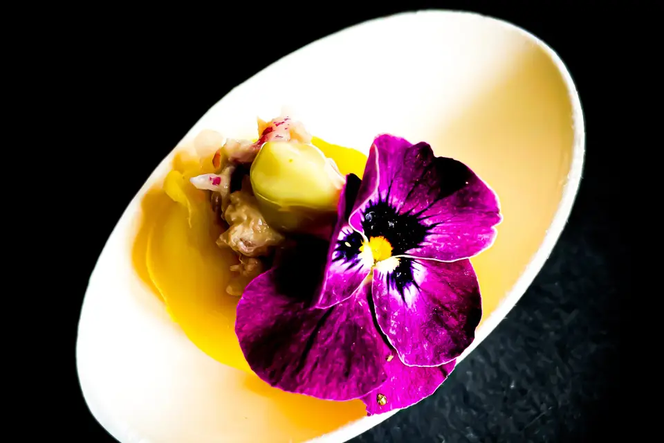 Traiteur Colibri — photo 4