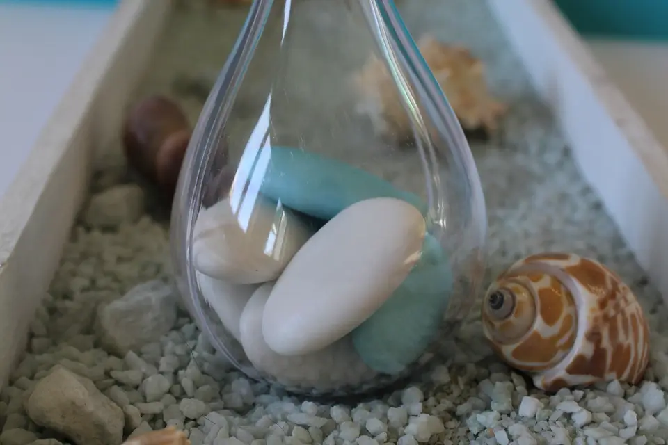 Perle d'Amour — photo 4