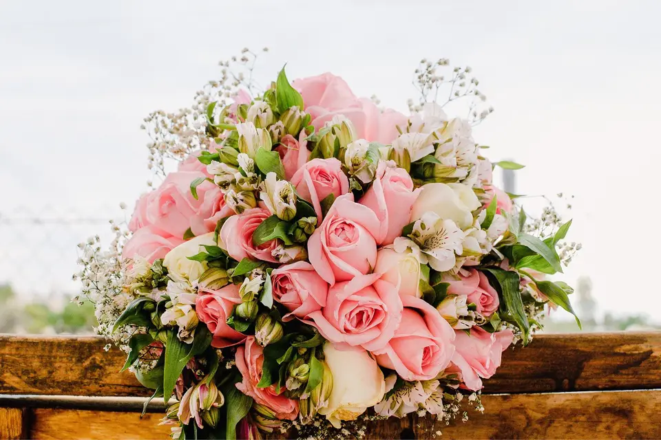 Au Sabot de Vénus — photo 1