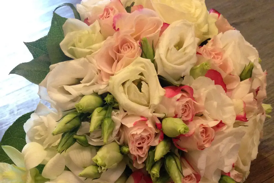 Au Sabot de Vénus — photo 8