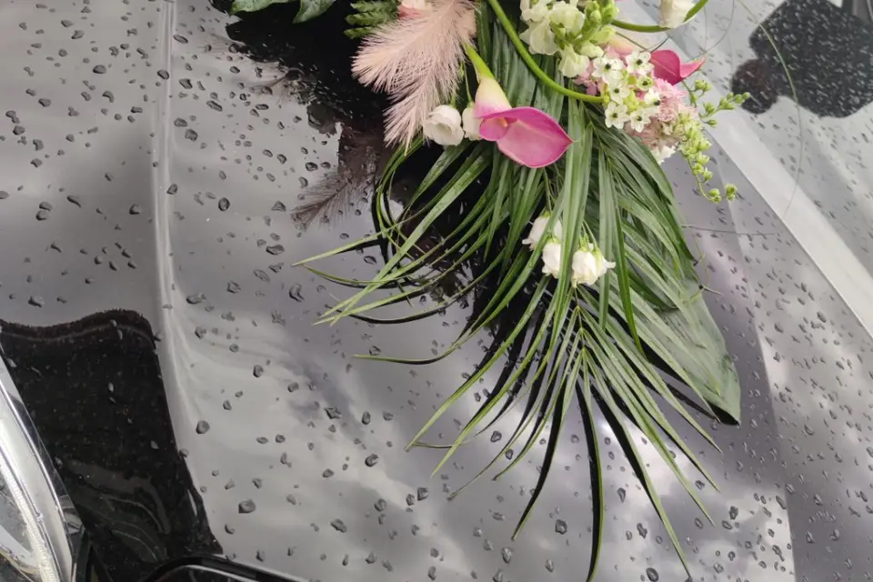 Driver VIP — photo 4