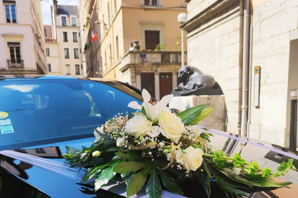 Driver VIP — photo 1