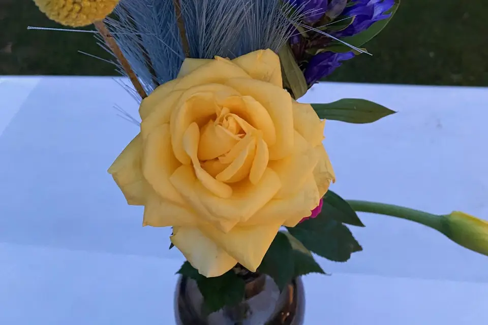 Festi'Val Evènements — photo 8