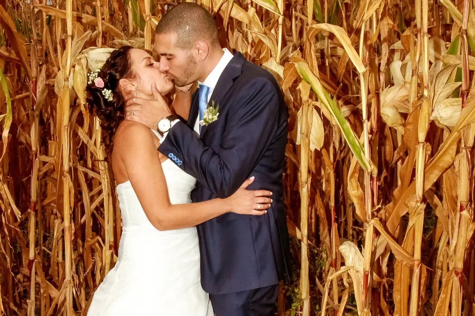 Fast Recordz — photo 1