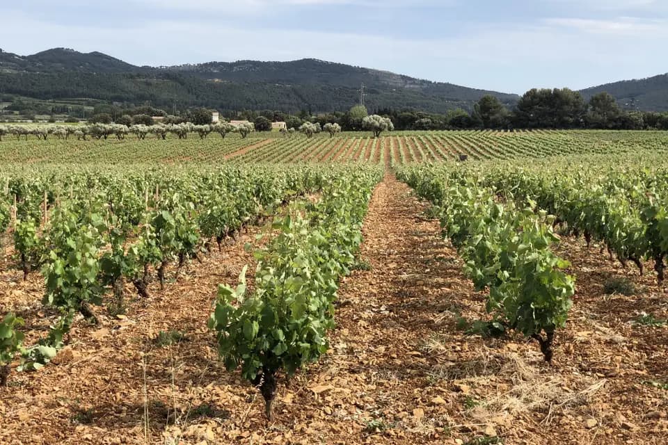 Château Vannières — photo 7