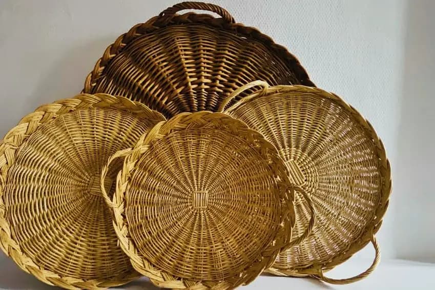 Dame Lucette — photo 6