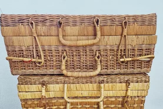 Dame Lucette — photo 7