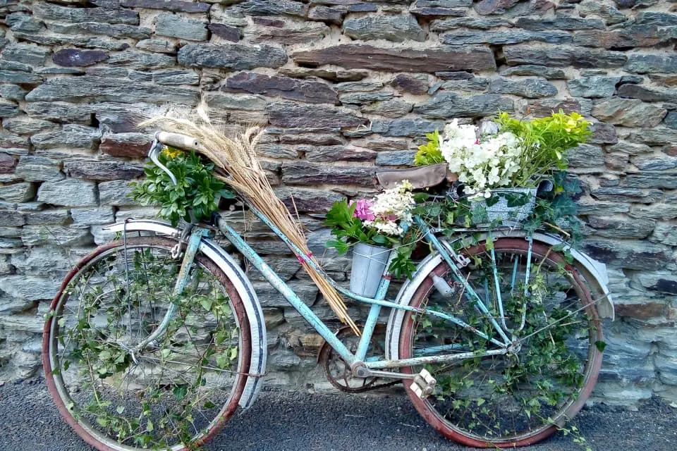 Location Décoration Champêtre 56 — photo 3