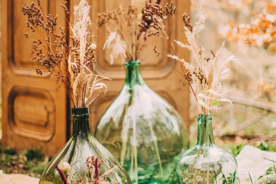 Artemisia — photo 1