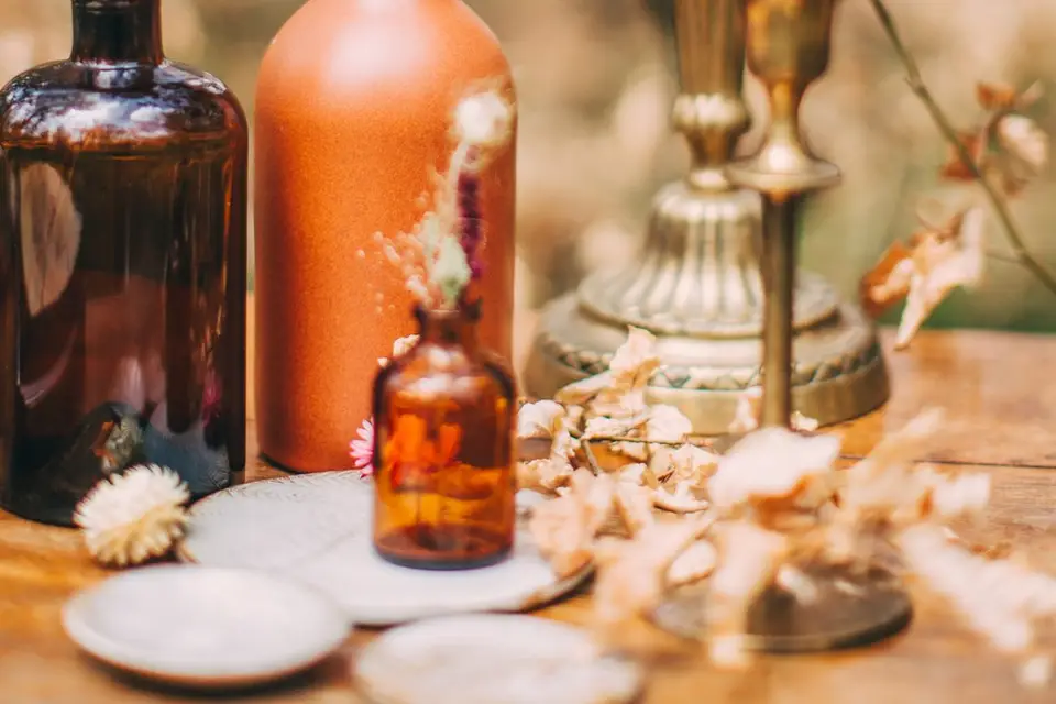 Artemisia — photo 3