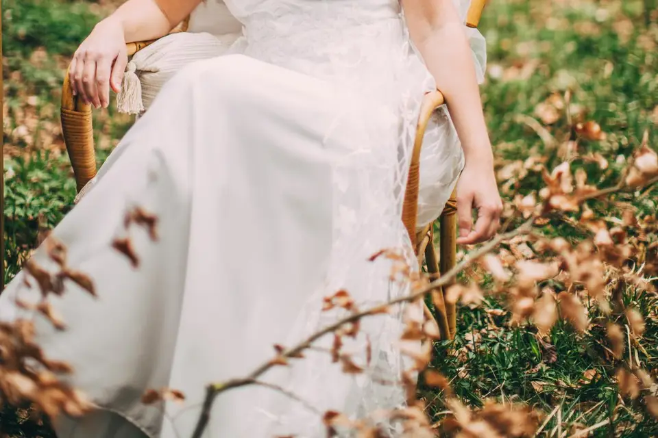 Artemisia — photo 5