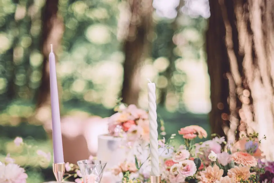 BÔ Jour — photo 1