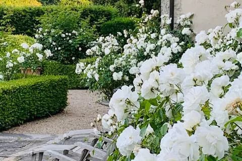 Le Manoir d'Argentel — photo 6