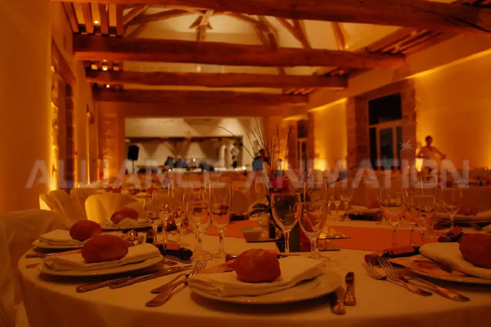 Alliance Animation — photo 9