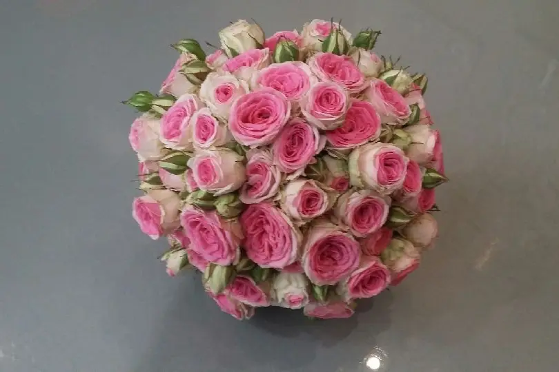 Gérard Baesler — photo 1