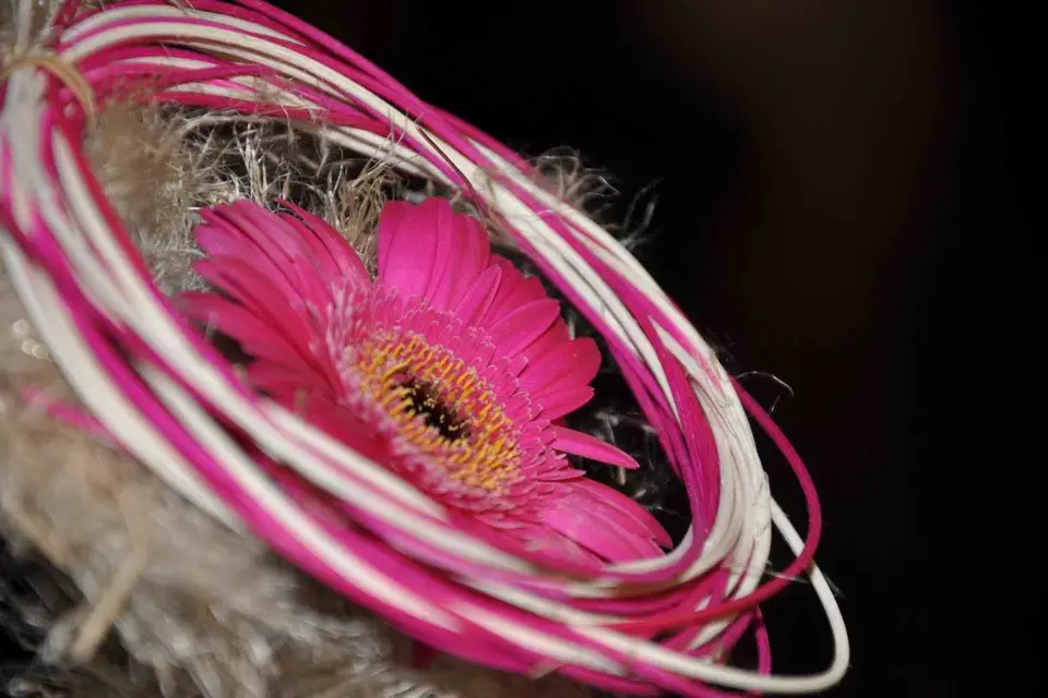 Atelier Aquafleurs — photo 6