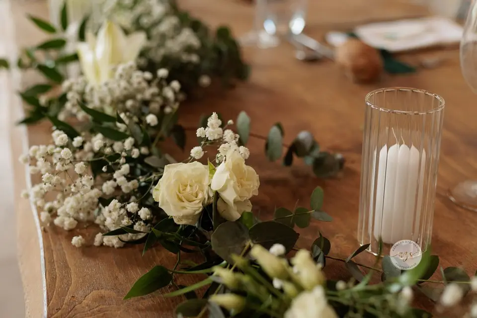 Vert Tige Event — photo 4