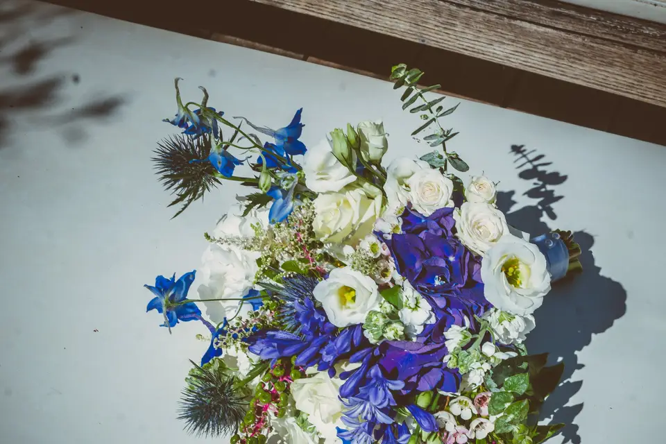 Vert Tige Event — photo 1