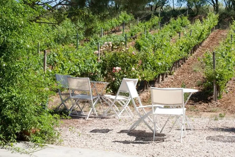 Auberge du Domaine de Rombeau — photo 9