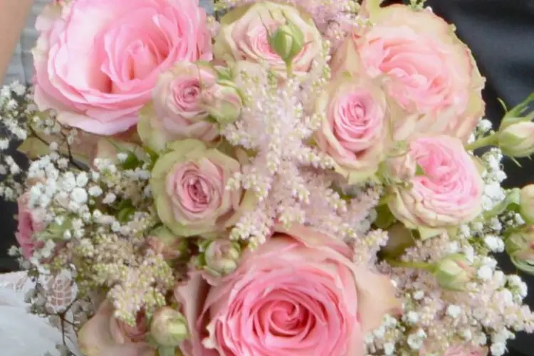 Cléa'Flore — photo 1