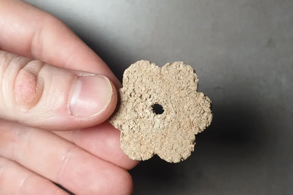 Balles de Graines — photo 7