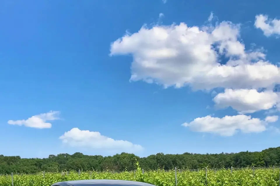 Routes du Sud Ouest — photo 3