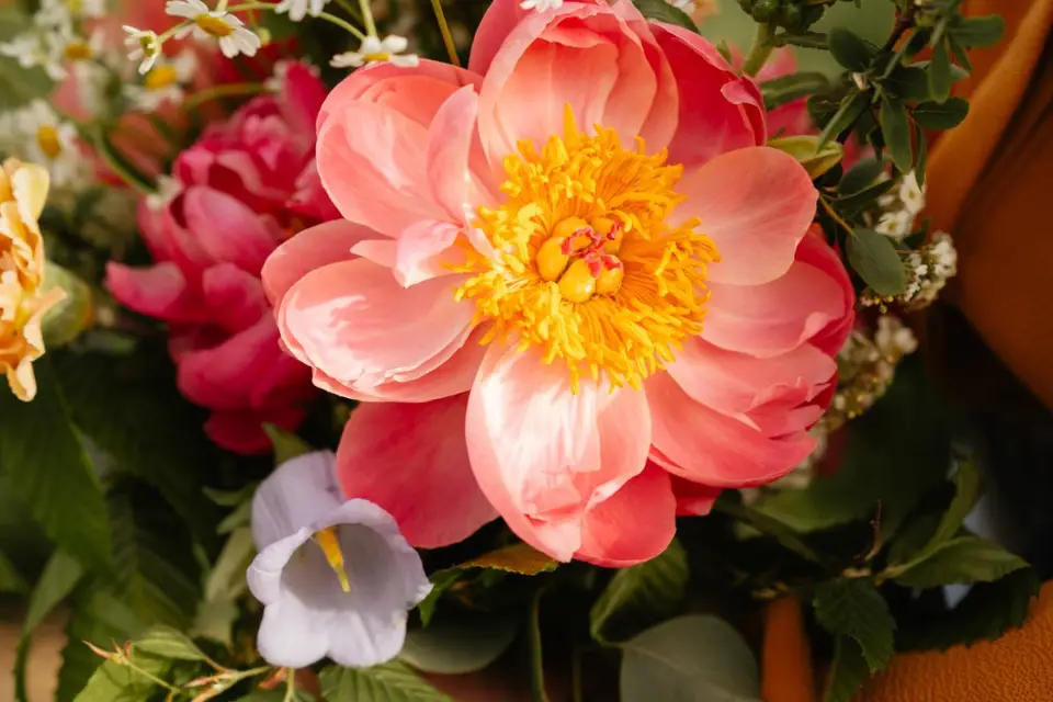 Nuit de printemps — photo 3