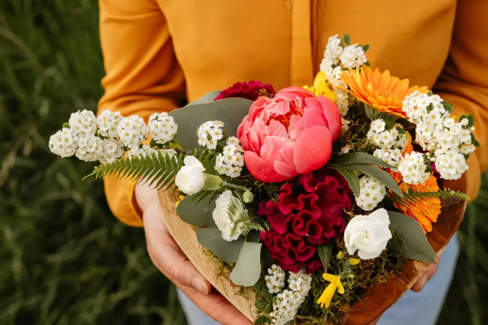 Nuit de printemps — photo 1