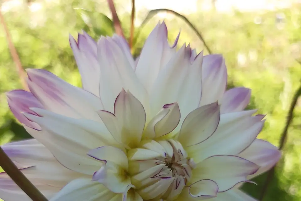 Domaine de Trespouech — photo 6