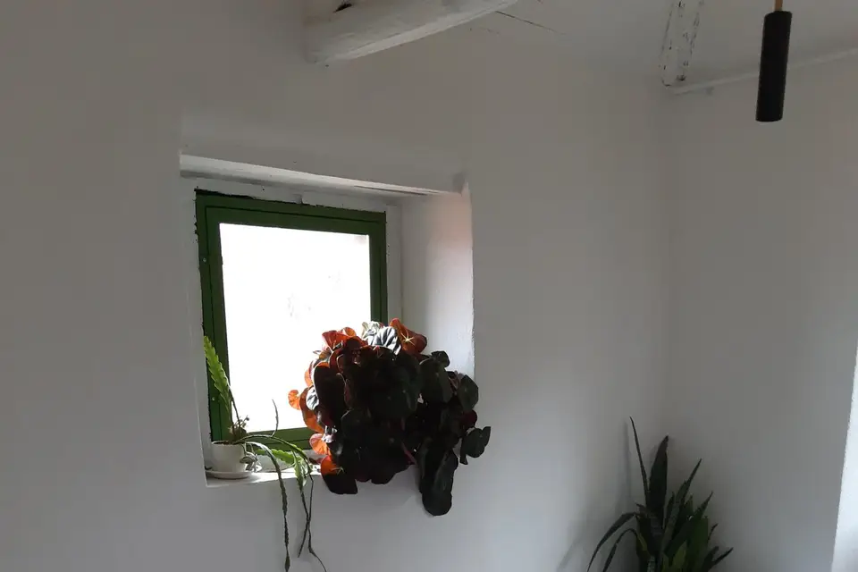 Domaine de Trespouech — photo 8